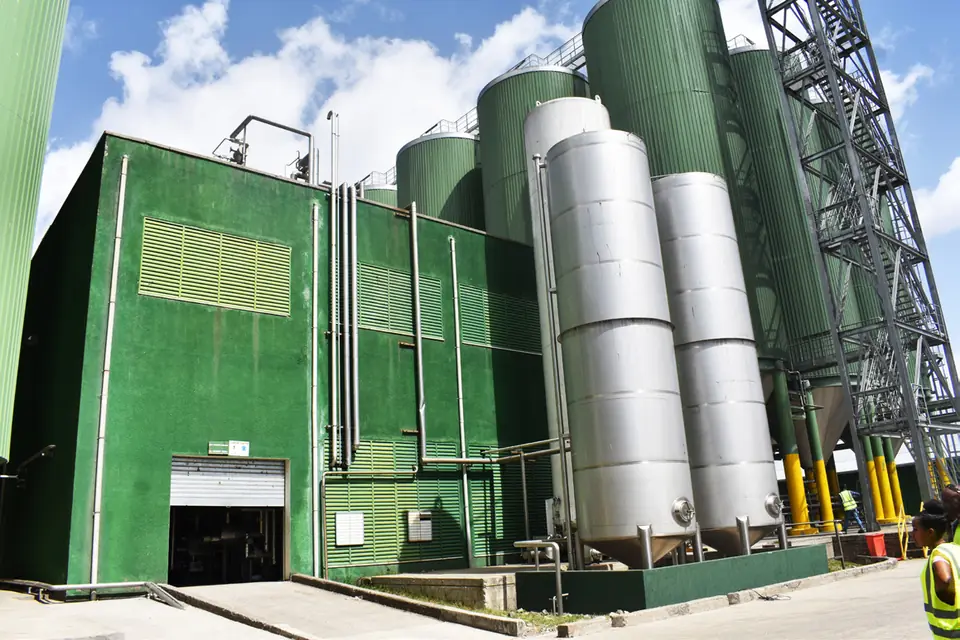 Green brewery building next to stainless steel tanks