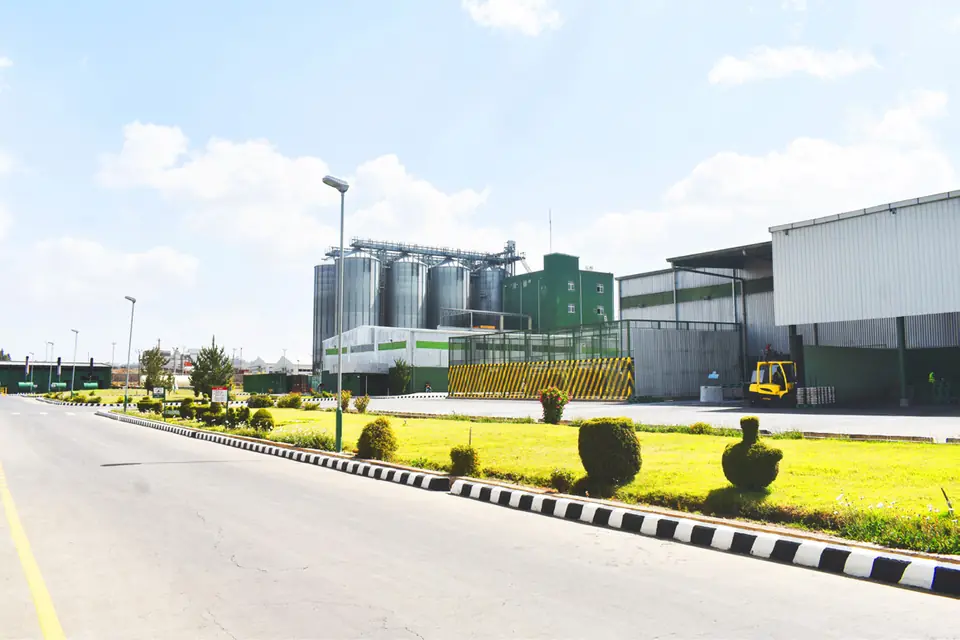 Road leading to the Dashen Brewery plant
