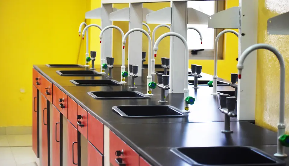 Close view of laboratory sinks and gooseneck taps