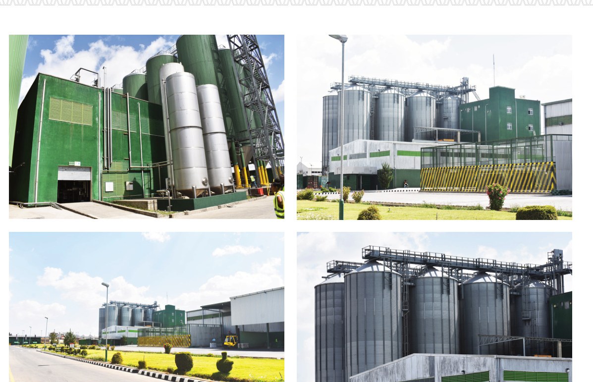 Symmetry Engineering — Dashen Brewery project